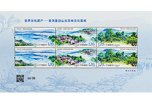 2026-14 世界文化遗产—普洱景迈山古茶...